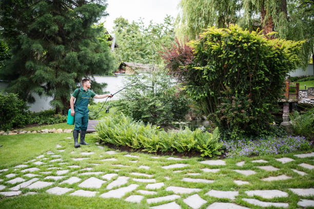 Best Pest Control Cost  in Emerd Mountain, AL